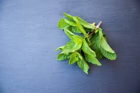 We did not find results for: How To Grow Peppermint Plant Happy Diy Home