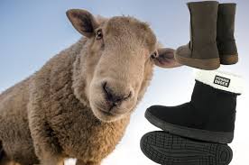 Check spelling or type a new query. Vegan Ugg Boots And Where To Buy Them Peta Australia
