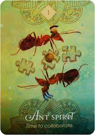 Welcome to the world of the spirit animal oracle! Tarotshop The Spirit Animal Oracle