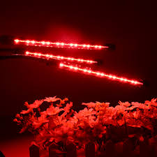 Here is a link from amazon.com for led lights if you want to use them: 18w Usb 3heads Clip On 18 Led Grow Light Dimmable Timing Red Blue 2 1 Plant Lamp Dc5v Alexnld Com