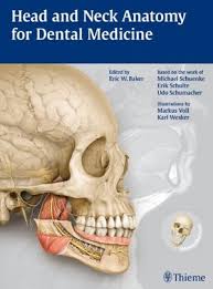 A regional atlas of the human body is sobotta, j. Head And Neck Anatomy For Dental Medicine Thieme Atlas Of Anatomy Series Georg Thieme Verlag Pap Psc
