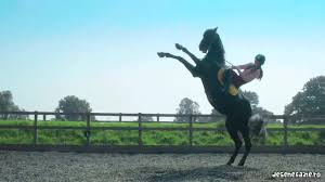 Click pentru a urmari the originals sezonul 1 episodul 1 online subtitrat la o calitate superioara doar pe acest website! Desene Faine Home Facebook