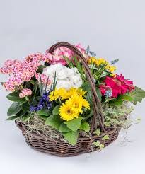 Wedding flowers by garden of eden florist, specialist wedding florist, & venue decorators, providing bespoke bridal flowers, covering the whole of south wales. English Garden Basket A Beautiful Lush Collection Of Blooming Plants Filled In With Greens And Ivy In Our Natur Garden Basket Flower Delivery English Garden