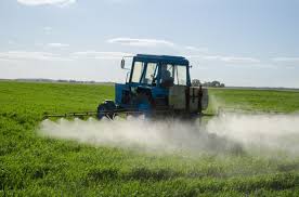 Cancer is a generic term for a large group of diseases that can affect any part of the body. Glyphosate Is Unlikely To Cause Cancer Who Fao Committee