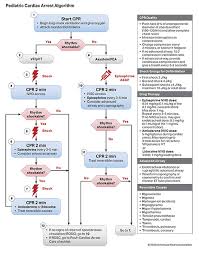 Care must be tailored to the particular disease and dysfunction that affect each patient. Algorithms American Heart Association Cpr First Aid
