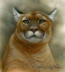 pin von mr galahad auf modeles peinture divers felins wilde katzen grosse katzen tierwelt kunst