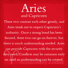 Traditionally, fire signs are compatible with fire and air signs. Pin By Megan Waldrep On Clever Ideas Aries And Capricorn Aries And Aquarius Aries And Gemini