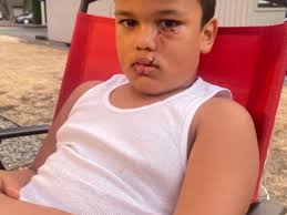 Fundraiser by Serenity Karaffa : Julian's Emergency