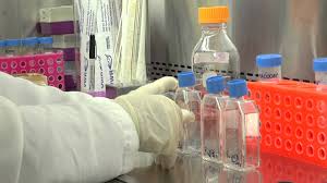 Check spelling or type a new query. Cell Culture Basics 06 Labeling Cell Culture Flasks Youtube