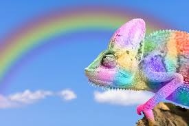 Information about bad side and good side of cancer star sign. Learn More About The 4 Mutable Signs In Astrology