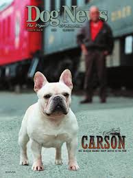 The most common glass corner shelf material is wood. Dog News June 27 2014 By Dog News Issuu