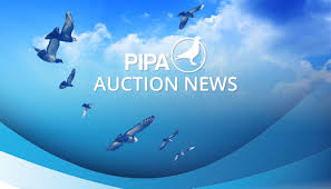 Este momentul potrivit pentru a vă schimba valuta? Auction Weekend Ends At 1 058 425 Euro Average 4 167 Euro Pigeon Pipa