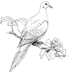 Download and print free christmas dove coloring pages. Perched Mourning Dove Coloring Page From Doves Category Select From 21274 Bird Coloring Pages Fish Coloring Page Coloring Pages To Print