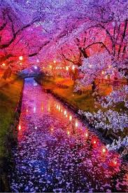 No wonder, it is listed in one of the best places to visit in japan vacation spots without any doubt. Spring Of Japan Best Place To Visit In The Spring Beautiful Landscapes Beautiful Nature Wallpaper Wonderful Places