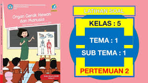 Latihan Soal Kelas 5 Sd Tema 1 Organ Gerak Hewan Dan Manusia Subtema 1 Pertemuan 1 Dan Kunci Jawaban Youtube