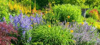 Full sun means 6 or more hours per day, while part sun is about half that. 12 Full Sun Perennials That Bloom All Summer Breck S