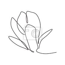 Simple line lotus flower black and white isolated hand draw. Flower Continuous One Line Drawing Isolated On White Background Wall Stickers Minimalism Elegance Romantic Myloview Com