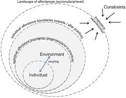 Frontiers Behavioral Repertoire Influences The Rate And