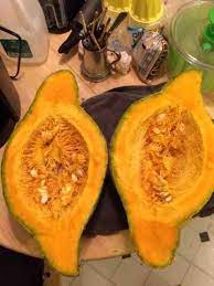 Savory Oven-roasted Blue Hubbard Squash Hubbard Squash Recipes Squash Recipes Oven Roast