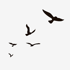 Birds flying clip art, vector images & illustrations. Aerial Fly Little Bird Silhouette A Flock Of Birds Flying Seagull Wild Goose Png Transparent Clipart Image And Psd File For Free Download Flying Bird Silhouette Bird Silhouette Flying Bird Drawing