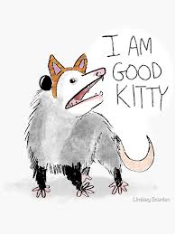 I Am Good Kitty Design Sticker By Lindsay Scanlan In 2020 I Am Awesome Indie Art Awesome Possum