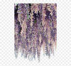 Wreath lavender flower, purple flowers hollow circles, green and purple flower crown against blue background, watercolor painting, violet, flowers png. Bean Signature Cascading Flowers Purple Flowers Lavender Hanging Lavender Clipart 5930795 Pikpng