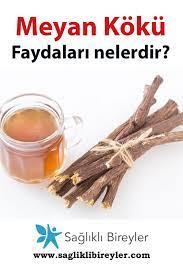meyan koku bitkisi faydalari serbeti cayi ve yagi sifali otlar saglikli otlar