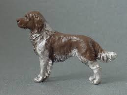 Image result for Malý münsterlandský ohař