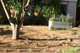 We did not find results for: Turn Your Front Yard Into A Garden 10 Steps With Pictures Instructables