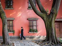 Somewhat away from the city center, it is a located in coyoacan, this hotel is within 2 mi (3 km) of manacar tower, centro coyoacan, and. Frida Kahlo S Neighbourhood Exploring Vibrant Coyoacan Mexico City Mexico City Holidays The Guardian