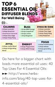 Top 6 Essential Oil Diffuser Blends For Well Being Ppiness