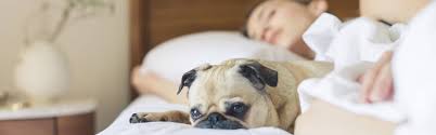 Welche matratze passt zu welcher schlafposition? Matratzenstudio Rais Welche Matratze Passt Zu Mir