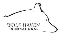 Wolf Haven International in USA