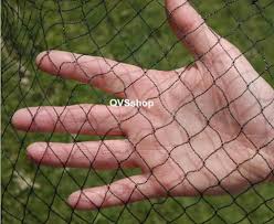 Anti Bird Netting For Garden 4m X 4m Bird Netting Allotment Garden Pond Cover Net Anti Bird Crop Mesh Bird Netting Crop Protection Pond Covers