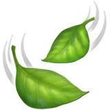 We did not find results for: Arti Emoji Daun Tertiup Angin Leaf Fluttering In Wind Emojipedia