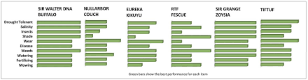 Instant Lawn Adelaide Turf Varieties Roll Out Lawn