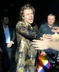 Harry In Melbourne Australia 24th April 2018 Harrystylesliveontourmelbourne Harry Styles Smile Everyday Human