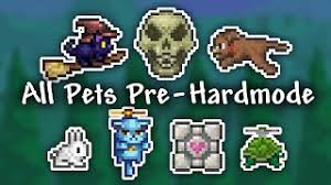 Baby dinosaur, baby eater, baby hornet, baby penguin, baby skeletron head, baby snowman, baby truffle, black cat, eyeball spring, pet lizard, pet parrot, pet sapling. How To Get A Pet In Terraria