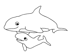 Awesome killer whale coloring page to color, print and download for free along with bunch of favorite whale coloring page for kids. Pin On Craft Ideas