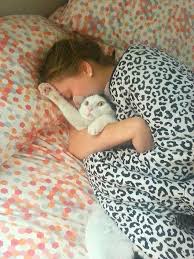 Sefil Insan Irkinin Kendisine Gosterdigi Sevgi Eylemlerine Katlanamayan 19 Asil Kedi Komik Kedi Resimleri Komik Hayvan Fotograflari Kedi Esprileri