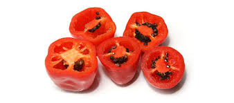 Rocoto Peppers Shu