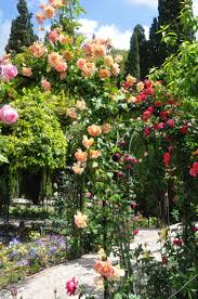 Rosiers Des Jardins Du Generalife De L Alhambra Parc Et Jardin Jardins Jardin Mediterraneen