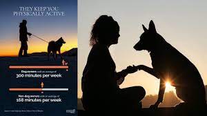 We're all dog lovers and we really want to give our furry friends the best we can. P6pct0rqsov4gm