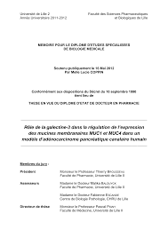 Https Pepite Depot Univ Lille2 Fr Nuxeo Site Esupversions 17c75b0b 5f16 42be Baa9 B45afc36675e