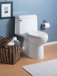 American standard is one of the top 3 brand names globally that are manufacturing toilets with high quality. American Standard Champion 4 Review Pros Cons Verdict Shop Toilet