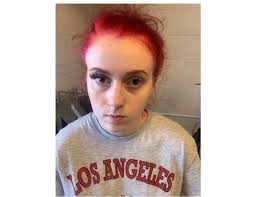 Banning Woman Accused Of Ramming Vehicle With Child In Tow