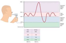 Image result for Pulmonary Function Test