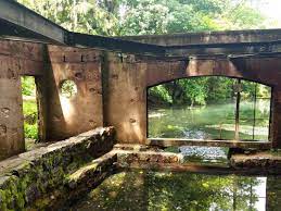 The trail attracts visitors who enjoy exercise, nature, and science. Paradise Springs Nature Trail Near Eagle Wisconsin