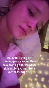 Handling Ferret Death Grief