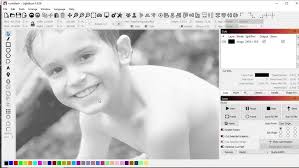 12x9 Maple treated with vinegar, water, baking soda and borax